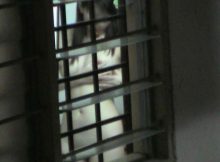 女の子の恥ずかしい姿を覗いている臨場感に大興奮！ガチでやばい民家盗撮エロ画像